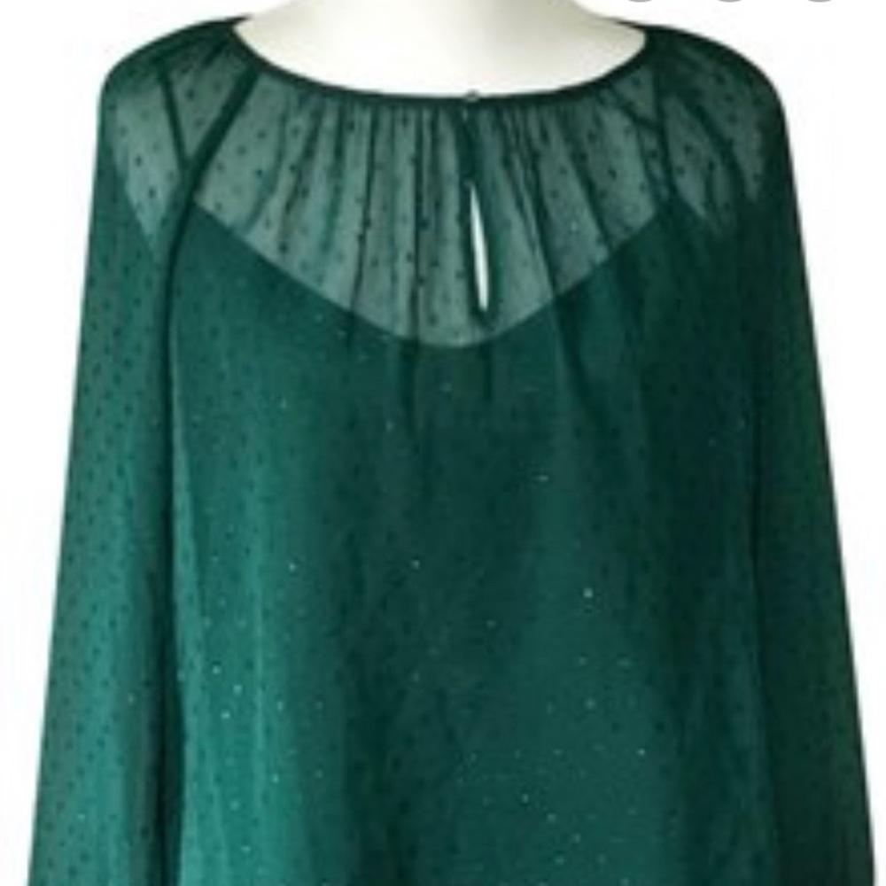 J crew point sur blouse small